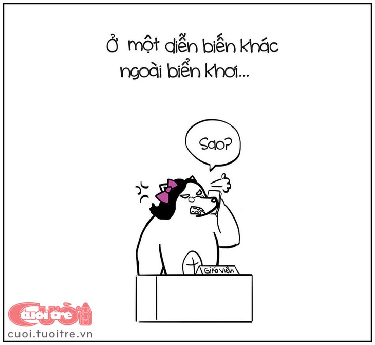 Và câu chuyện lặp lại với những chú "cá hồi" khác... 