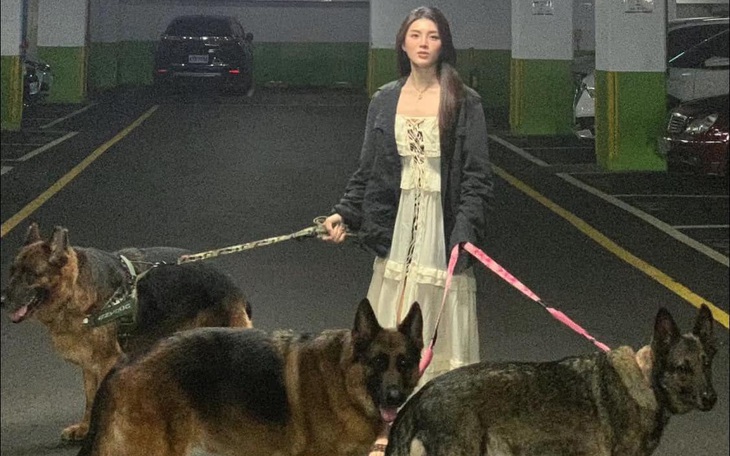 Ảnh vui 8-7: Biết là "muốn làm quen phải chủ động" nhưng...