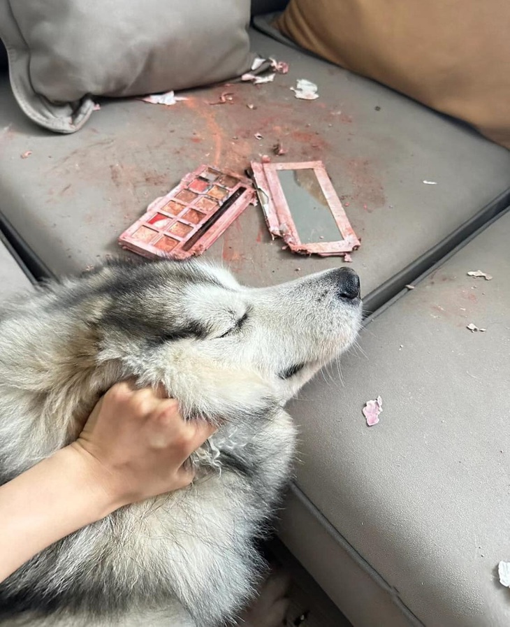 Con với chả cái?!