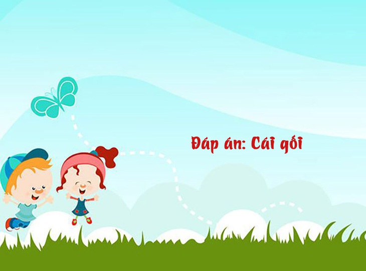 Câu đố hack não: Một xương sống, một đống xương sườn, là cái gì? - Ảnh 1.