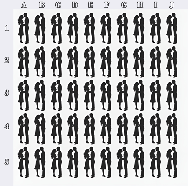 Bạn thật tinh mắt nếu nhìn thấy con mèo trong 6 giây - Ảnh 7.