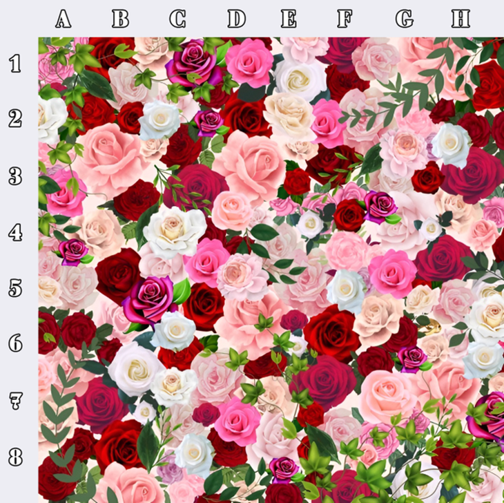 Bạn thật tinh mắt nếu nhìn thấy con mèo trong 6 giây - Ảnh 4.