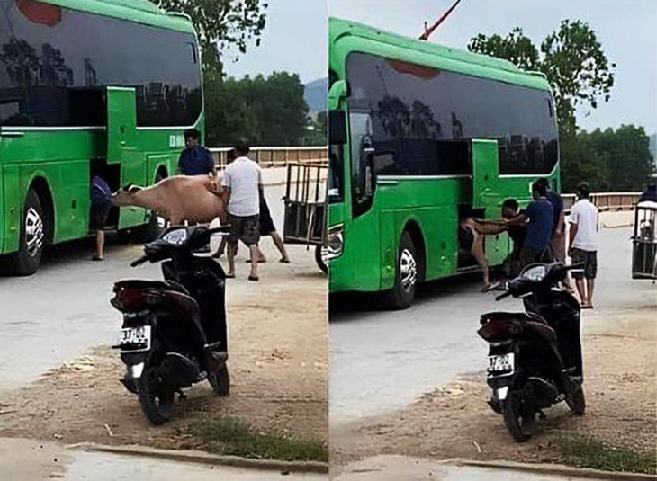 Khi con gái ở thành phố muốn ăn... thịt bò.