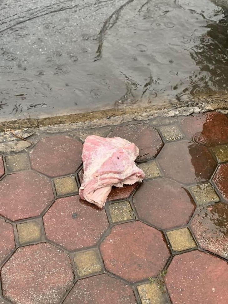 Ai làm rớt khoanh thịt, xuống nhà em ở địa chỉ "..." lấy.