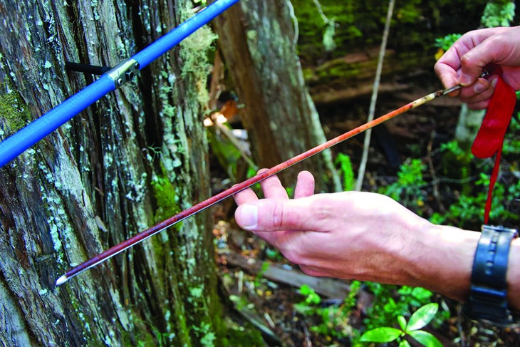 Công cụ lấy mẫu và lõi cây thu được.  Ảnh: Argentina Sustainable