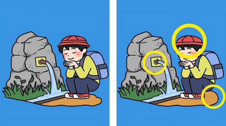 Chỉ thiên tài mới thấy 3 con rắn ngụy trang ở đâu giữa những chiếc lá - Ảnh 1.