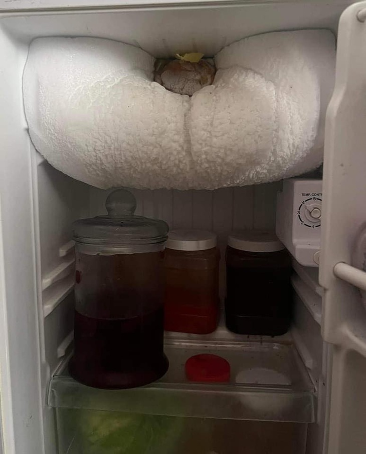 Cục thịt có trước hay đá tuyết có trước? Chỉ&nbsp;tủ lạnh mới biết 