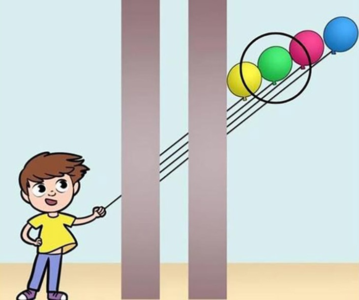 Bạn có phát hiện ra con vẹt đuôi dài trong 5 giây? - Ảnh 1.