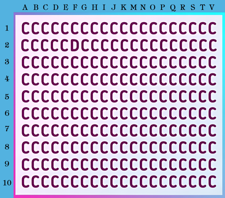 Mắt diều hâu có phát hiện con báo tuyết đang ngụy trang ở đâu? - Ảnh 5.