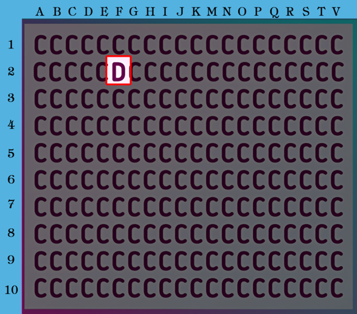 Mắt diều hâu có phát hiện con báo tuyết đang ngụy trang ở đâu? - Ảnh 1.