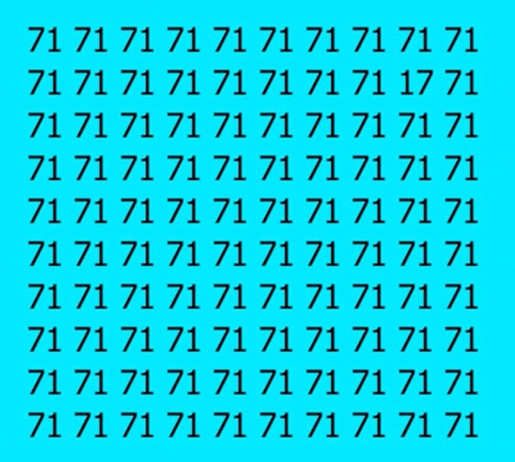 Con mèo đang ẩn mình ở đâu trong lùm cây - Ảnh 9.