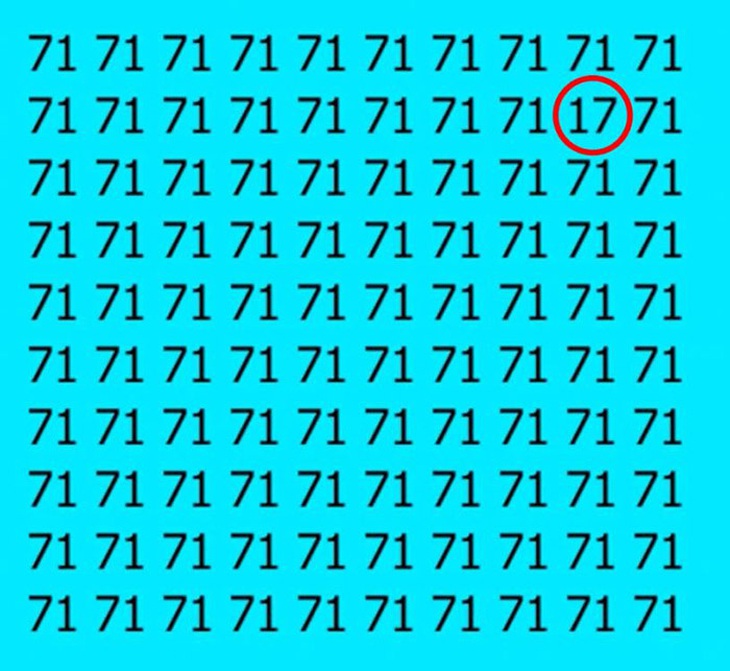 Con mèo đang ẩn mình ở đâu trong lùm cây - Ảnh 1.