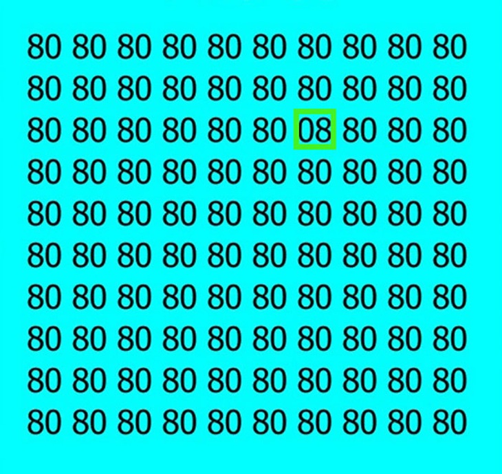 Chỉ thiên tài mới thấy 3 con rắn ngụy trang ở đâu giữa những chiếc lá - Ảnh 1.