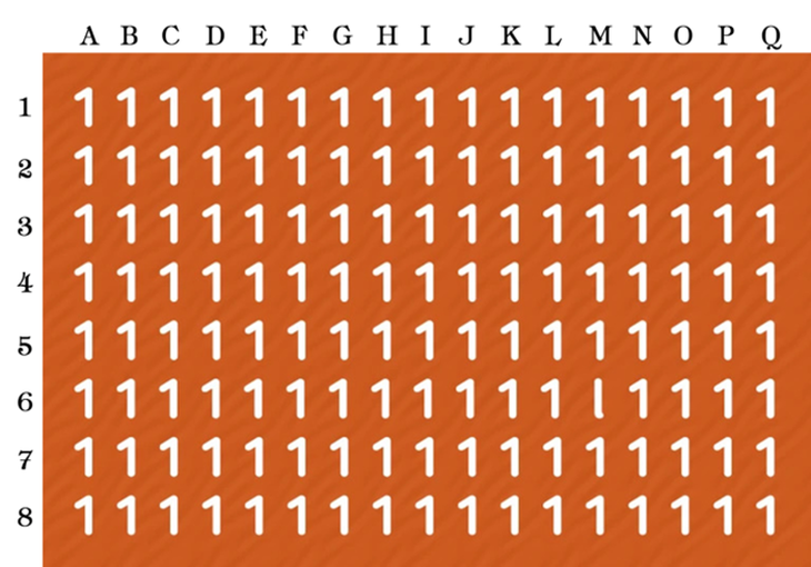 Mắt 10/10 mới phát hiện con chấu chấu ở đâu? - Ảnh 4.