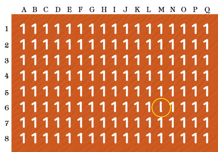 Mắt 10/10 mới phát hiện con chấu chấu ở đâu? - Ảnh 1.