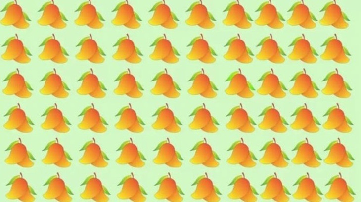 Màn ngụy trang đỉnh cao của tắc kè - Ảnh 4.