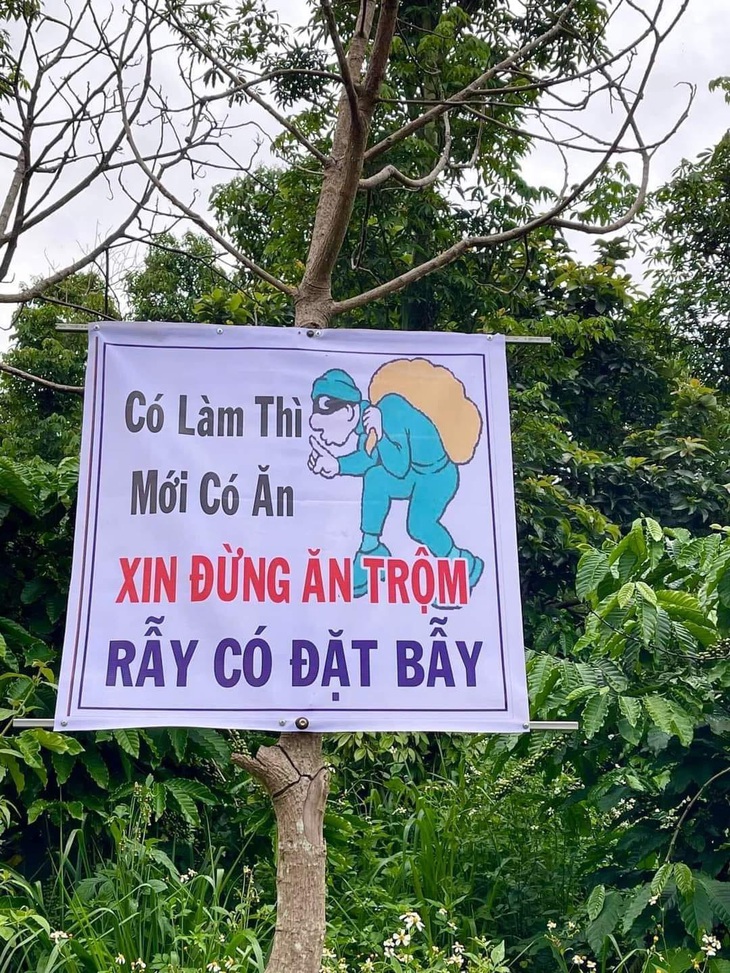 Cảnh báo ăn trộm.