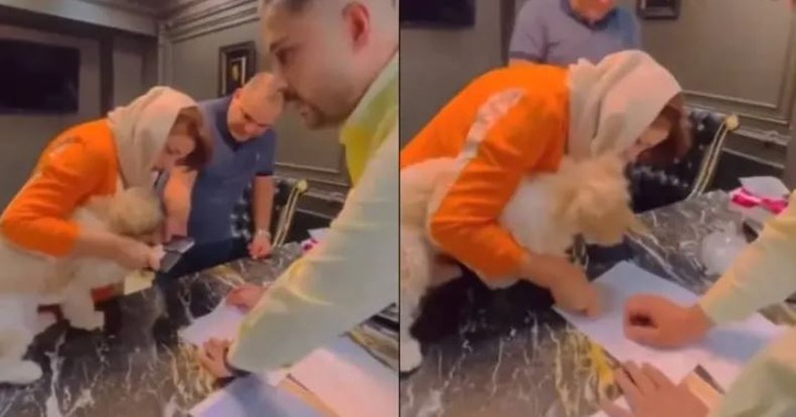 Chú chó được cặp vợ chồng hỗ trợ thực hiện thủ tục mua bán nhà.