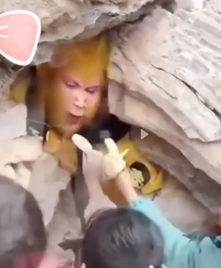 Những đứa trẻ tranh nhau cho Tôn Ngộ Không ăn vặt.