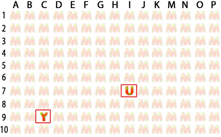 Con hưu cao cổ thứ hai nằm ở đâu trong tranh? - Ảnh 1.