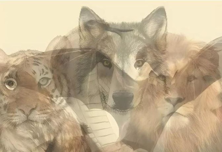 Con vật nhìn thấy tiết lộ đức tính lớn nhất của bạn - Ảnh 1.