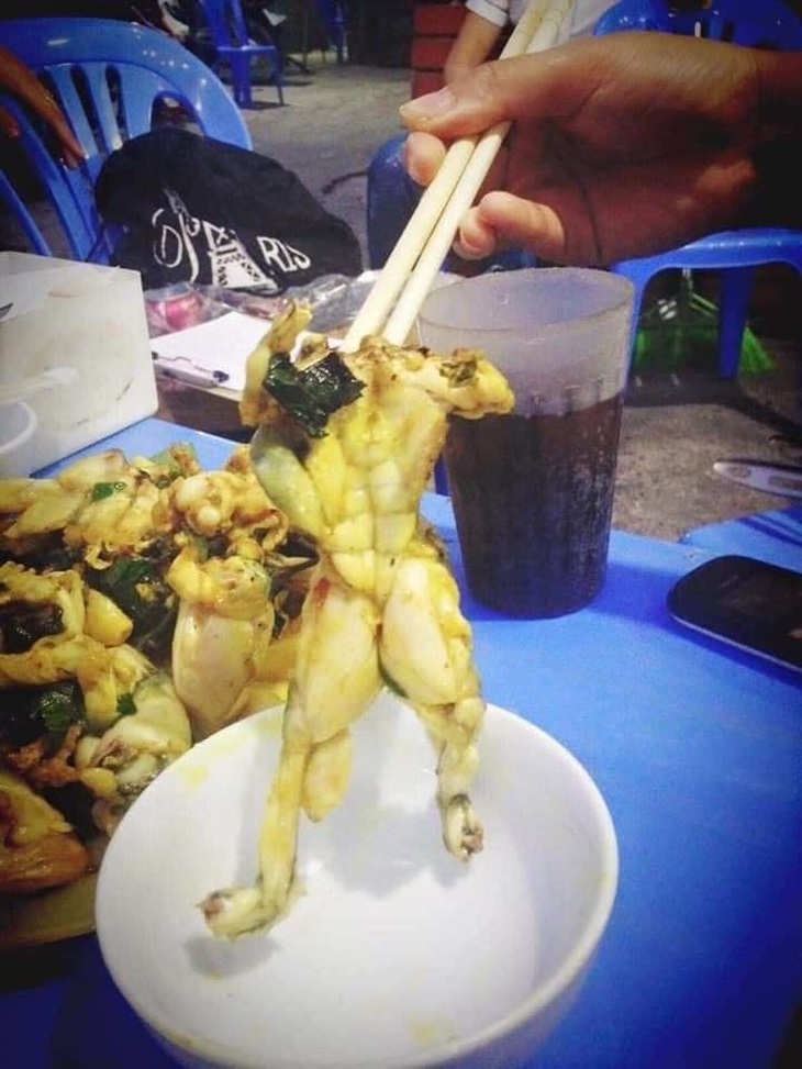 Nghĩ con ếch nó còn đô hơn mình nữa! Tức! Ăn luôn!