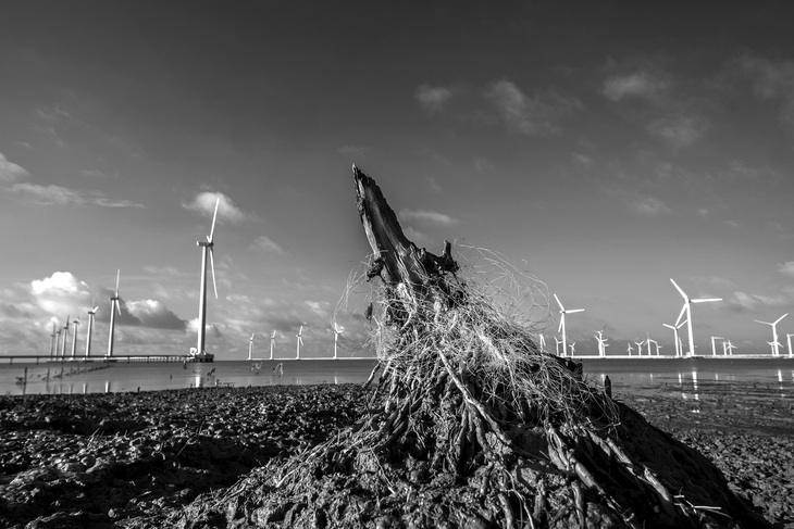 Thông điệp cho sự lựa chọn giữa loại bỏ thế giới tự nhiên để có thể hưởng thụ sống tốt hơn hay bảo tồn thiên nhiên để cuộc sống tồn tại dễ hơn