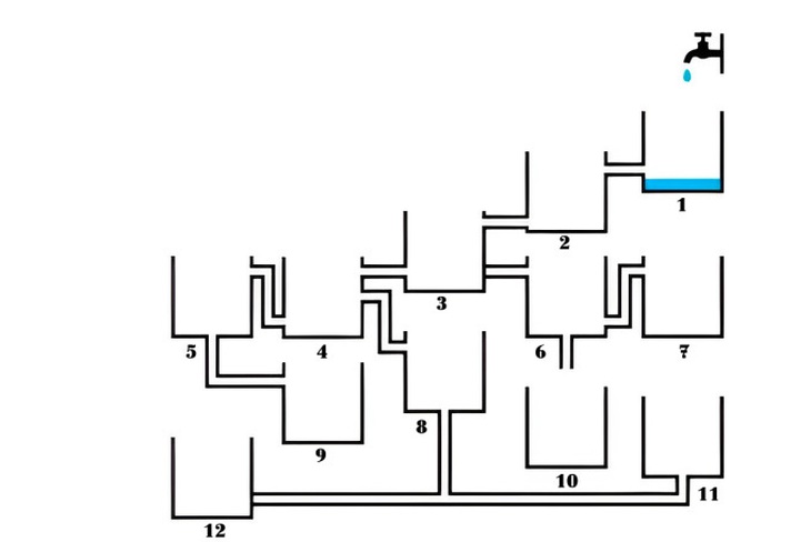 Thử tài tinh mắt: Có bao nhiêu con vật trong bức ảnh? - Ảnh 4.
