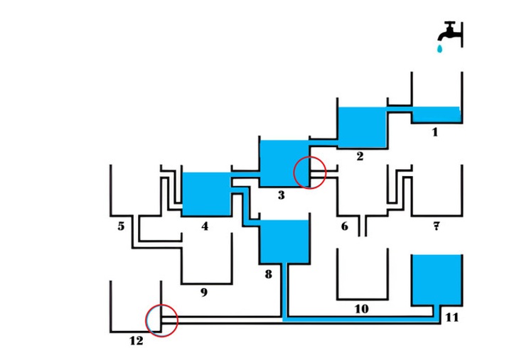 Thử tài tinh mắt: Có bao nhiêu con vật trong bức ảnh? - Ảnh 1.