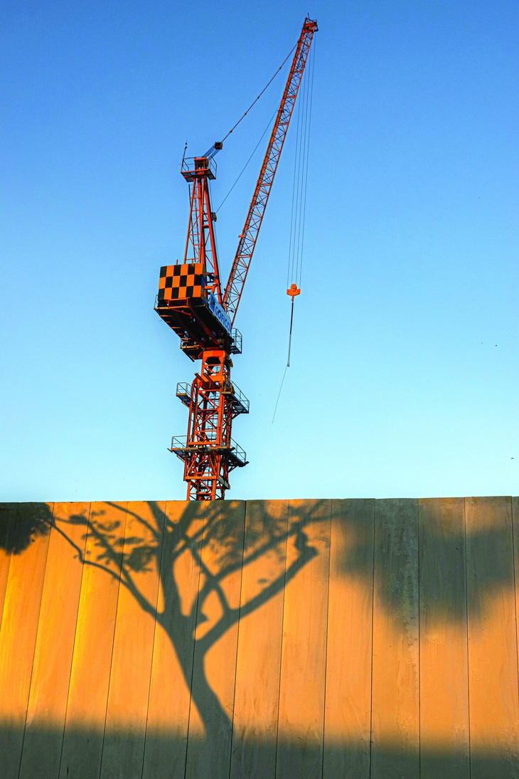 Cây cần cẩu trong thế giới tự nhiên của các đô thị phát triển   