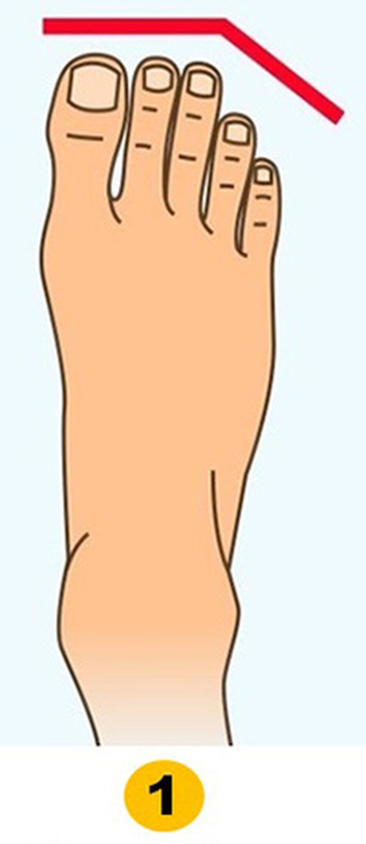 Hình dạng bàn chân bật mí tính cách tiềm ẩn của bạn - Ảnh 1.