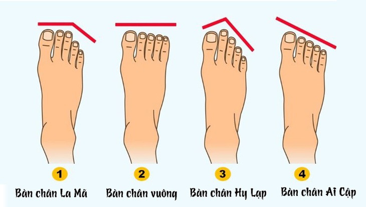Hình dạng bàn chân bật mí tính cách tiềm ẩn của bạn - Ảnh 1.