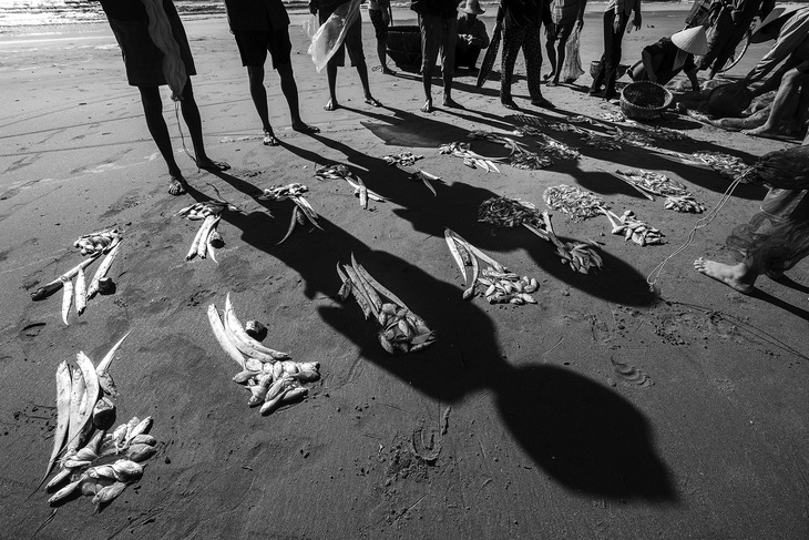 Chia phần từ biển - Thanh Hóa