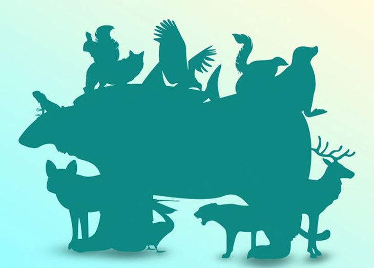 Thử tài tinh mắt: Có bao nhiêu con vật trong bức ảnh? - Ảnh 1.