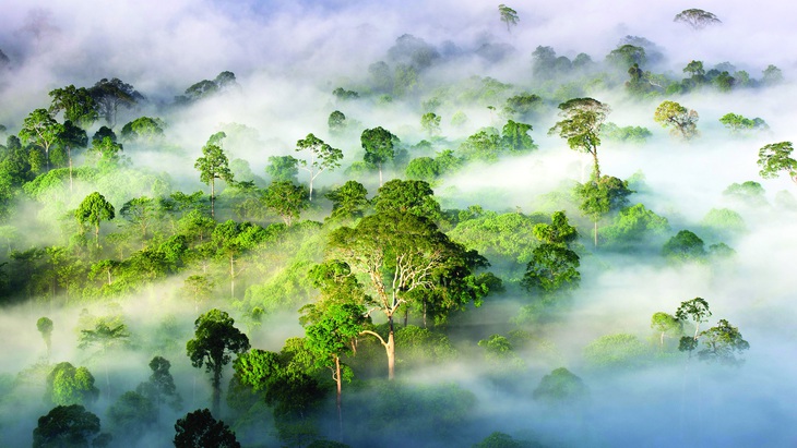 Ảnh: Steven Bloom Images/Alamy