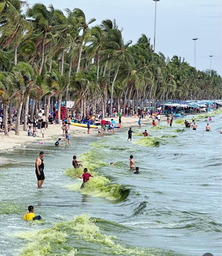 Sóng biển màu matcha...