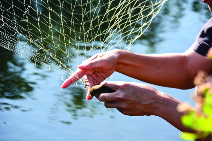 Gỡ chim dính lưới thả về tự nhiên, đây mới là phóng sinh đúng nghĩa.  Ảnh: NGUYỄN HOÀI BẢO