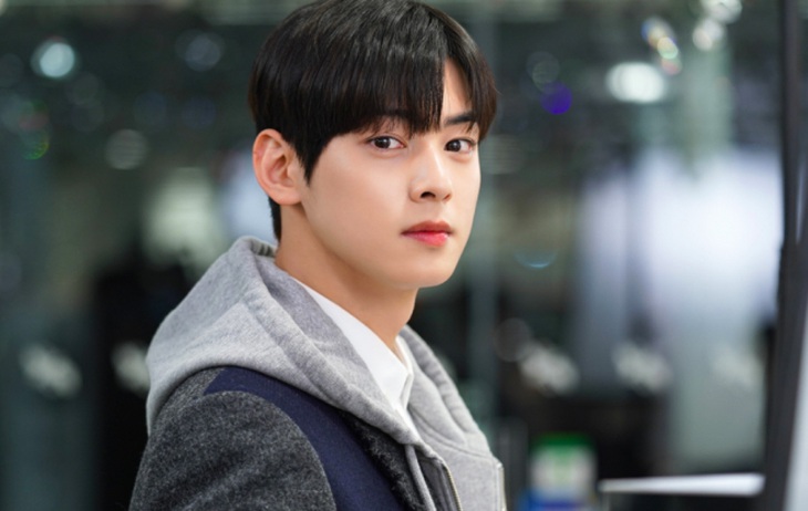Knet rủ nhau ngừng xem phim Cha Eun Woo đóng vì... quá xinh trai - Ảnh 2.