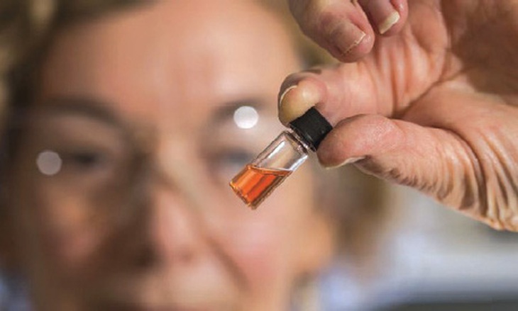 Màu hồng được tìm thấy trong trầm tích đá phiến dưới sa mạc Sahara