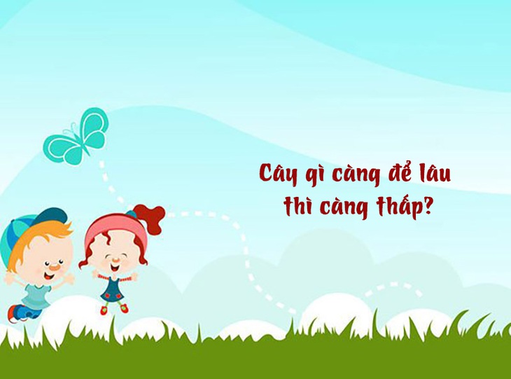 Câu đố hack não: Khi nào thì con bò sinh ra con ong? - Ảnh 10.