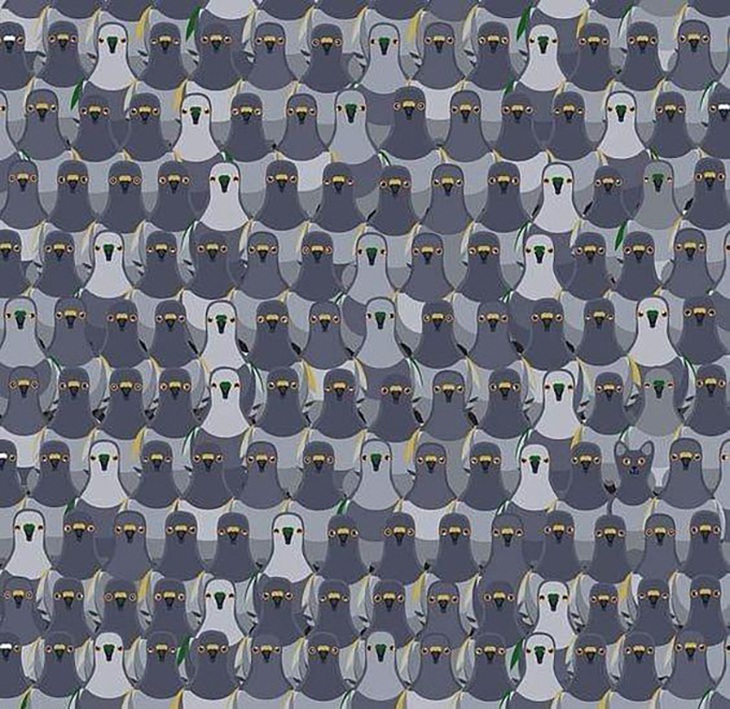 Thử tài tinh mắt: Con báo săn mồi đang lẩn trốn ở đâu? - Ảnh 4.