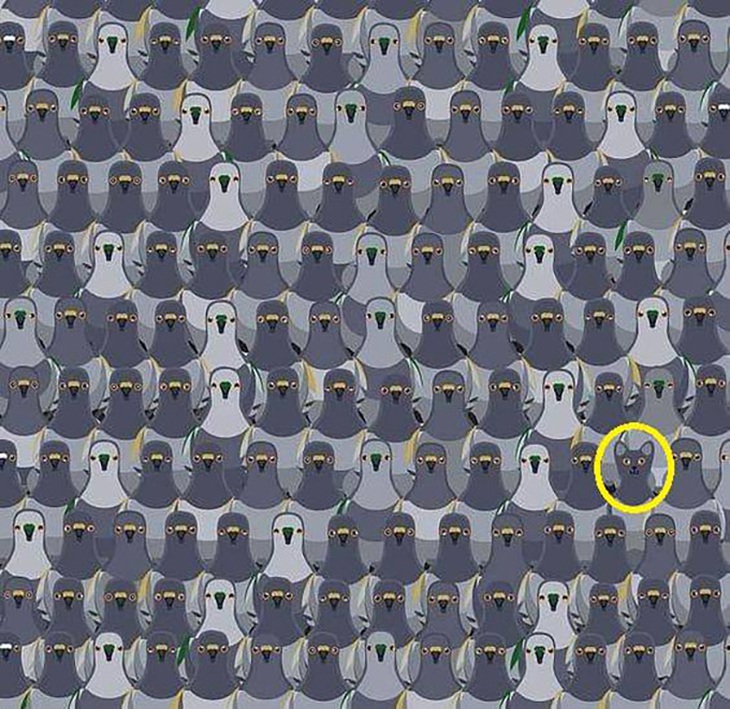 Thử tài tinh mắt: Con báo săn mồi đang lẩn trốn ở đâu? - Ảnh 1.