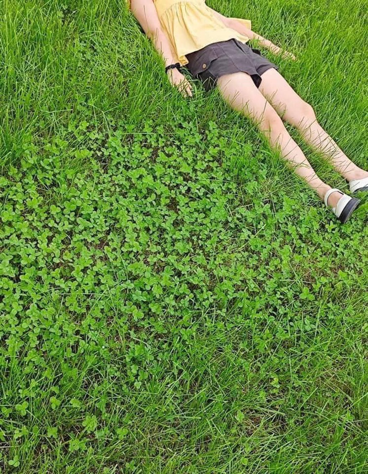 Chắc anh người yêu tuân theo phương pháp "ba phần tư"