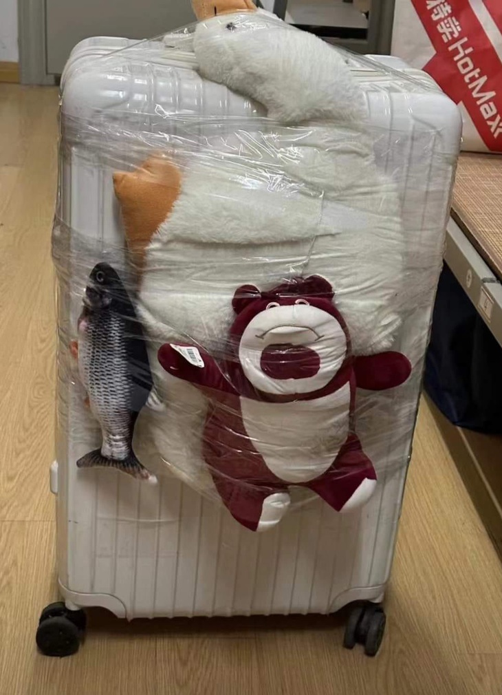 Hành trang của tân sinh viên: gấu bông "lấy vía"