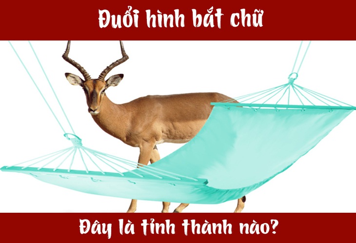 IQ cao có đoán được đây là tỉnh thành nào nước ta? (P26) - Ảnh 1.