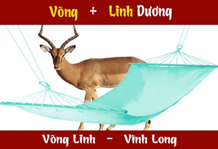 IQ cao có đoán được đây là tỉnh thành nào nước ta? (P26) - Ảnh 1.