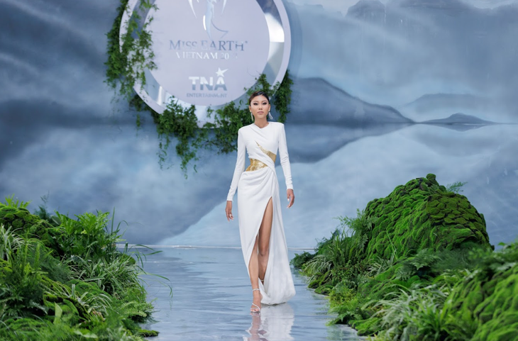 Đại sứ Thạch Thu Thảo.