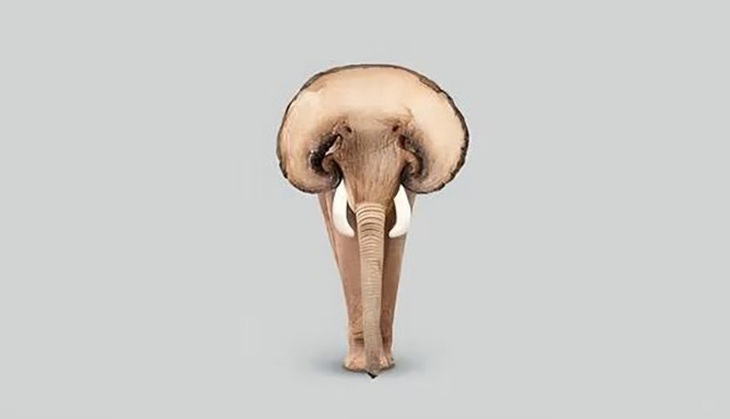 Hình ảnh tiết lộ tính cách bí ẩn của bạn - Ảnh 1.