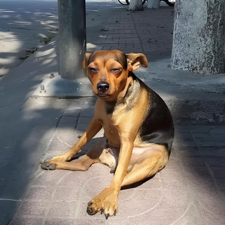 Là tôi mỗi sáng thức dậy đi làm.