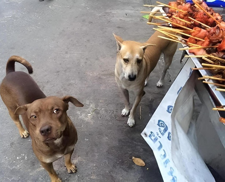 Chốt đơn đi chứ chờ đợi gì tầm này?!